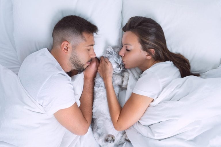 Beautiful couple lying on the bed with their lovely cat. Woman kissing her cute cat. Love for cats or pets. Sleep with cat