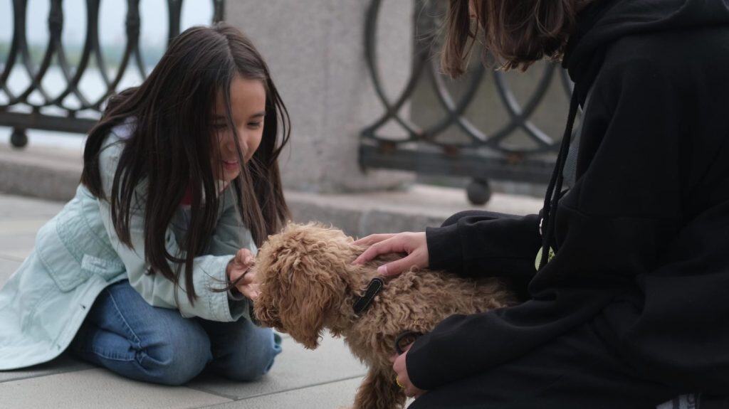 Two little sisters went for a walk with a cute brown curly dog. Children playing with a poodle outdoors