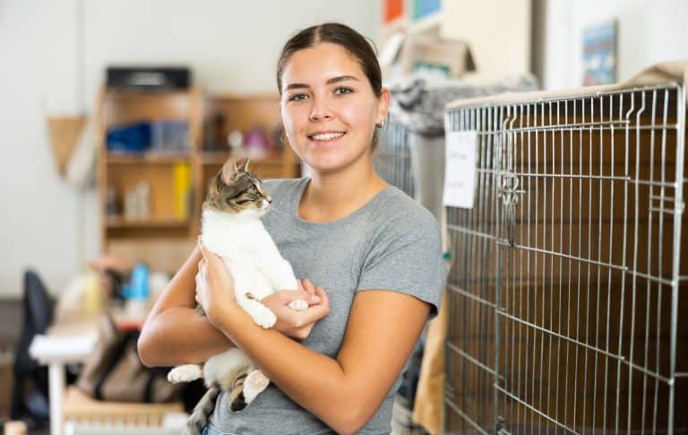Happy caring young girl holding curious white and gray cat in arms while visiting shelter for abandoned animals. Pet adoption concept