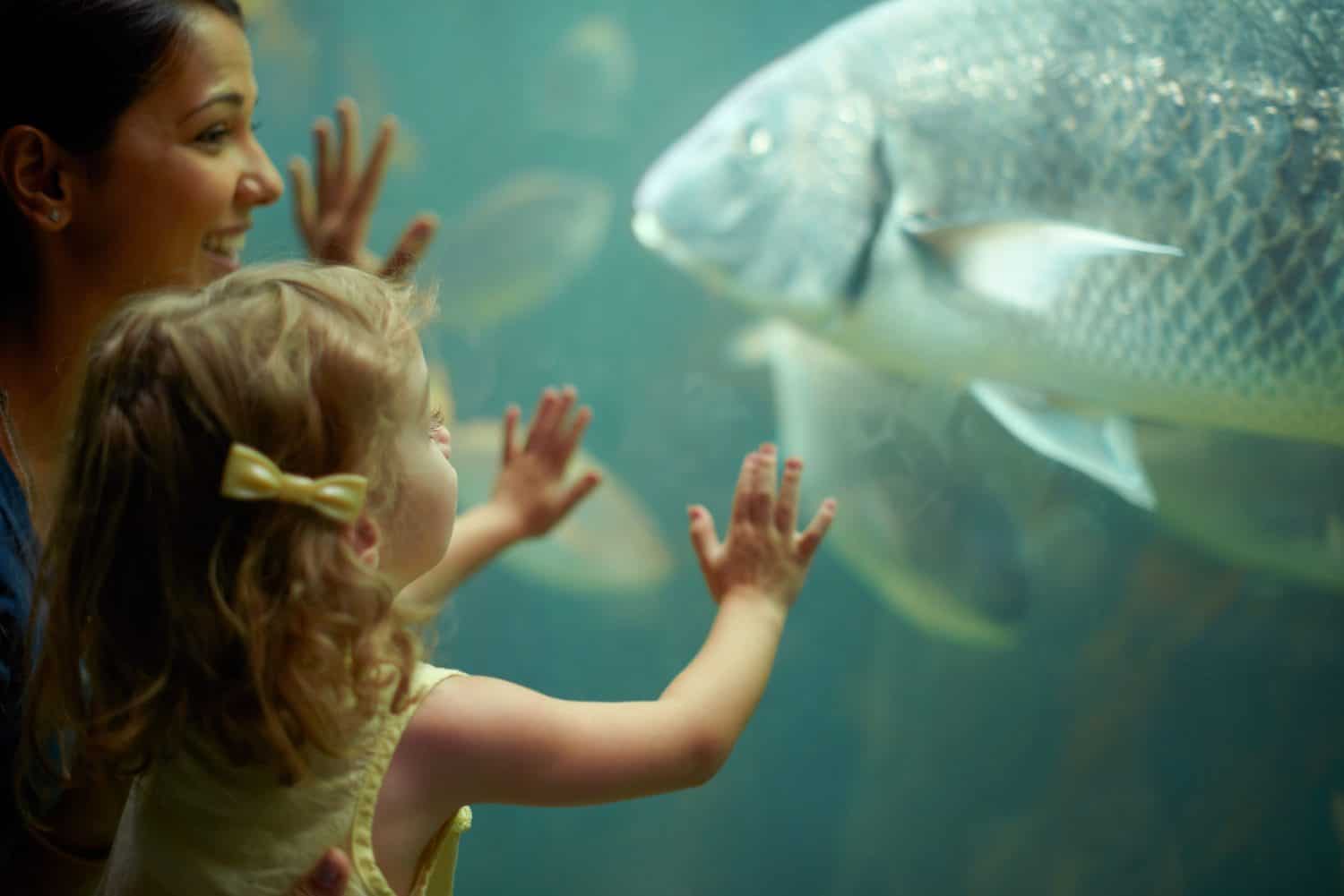 Mother, aquarium and child looking at fish for learning, curiosity and knowledge, education and bonding. Mom, fishtank and happy girl watching marine life or animals swim underwater in oceanarium.
