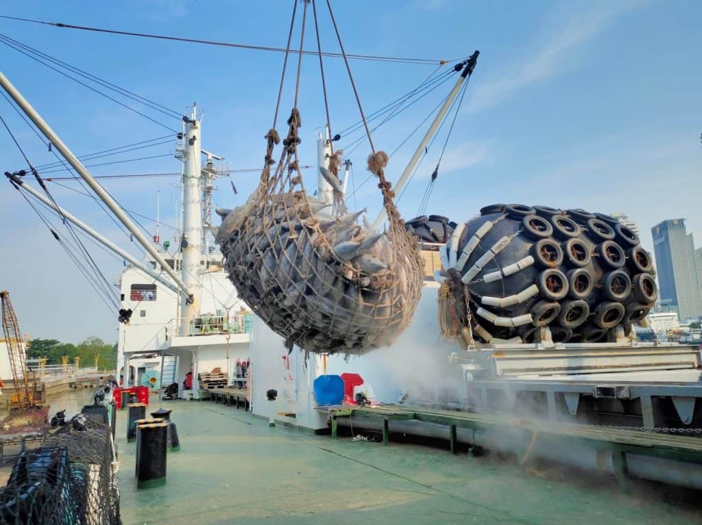 Loading cargo, Transhipment Frozen Skipjack and Yellowifin tuna mixed inside large net unloading from reefer carrier to trucking in port and the concept of loading, transportation, unloading complete.