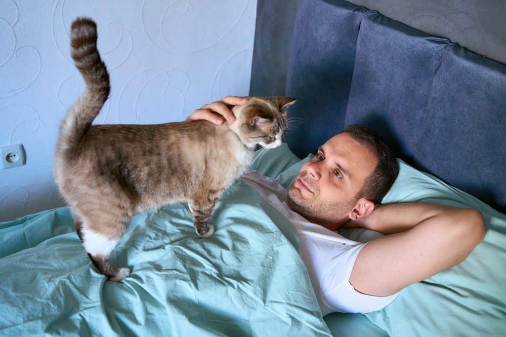 young man sleeping with a cat on his chest, morning routine