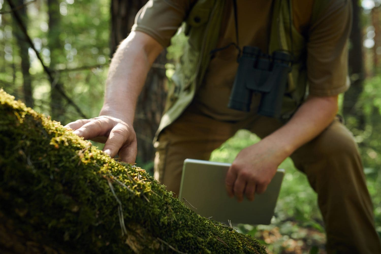 Unrecognizable male scientist working in forest holding digital tablet touching moss on tree with his hand
