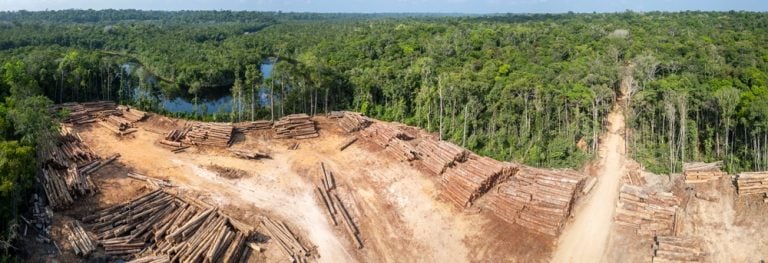 Aerial drone view of Amazon rainforest log storage area: sustainable wood harvesting amidst the dense jungle canopy
