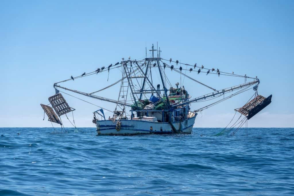 A Camaronero shrimpfishing mexican boat off the coast of todos santos baja california sur