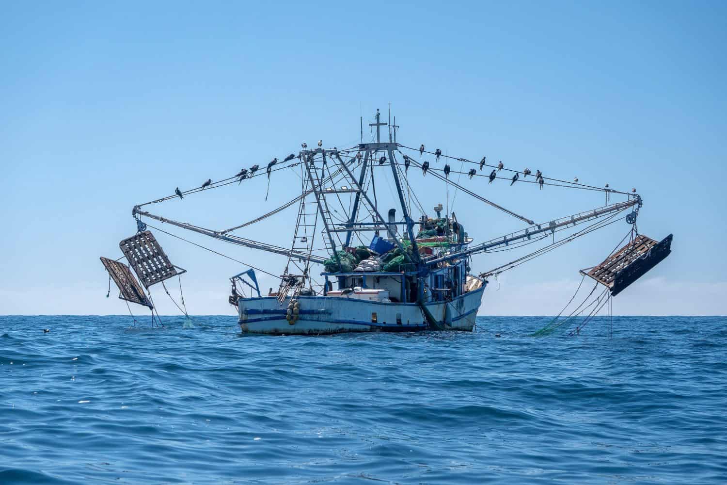 A Camaronero shrimpfishing mexican boat off the coast of todos santos baja california sur