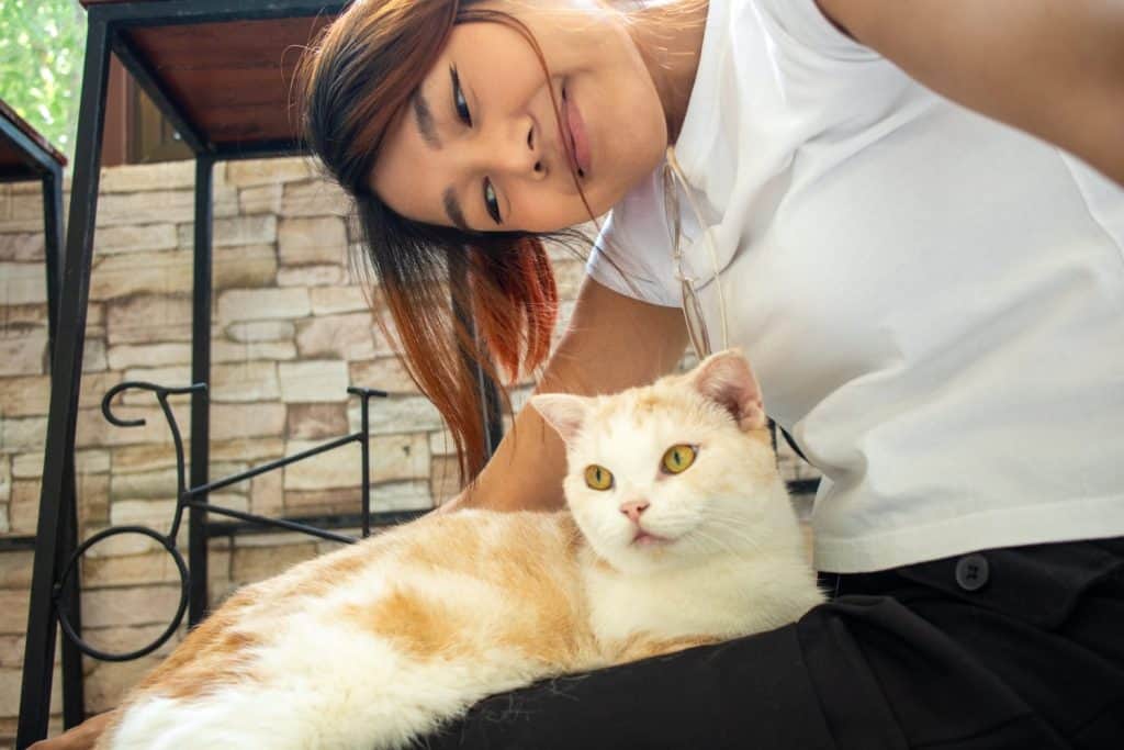 Happy Asian Thai woman take selfie with cute cat while lying and sleeping on her lap.