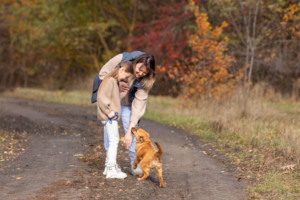 Mother and child girl walking in forest or city park, playing with dog and enjoying weekend on autumn day. People and domestic pet concept. Happy family lifestyle. High quality photo. Copy space.