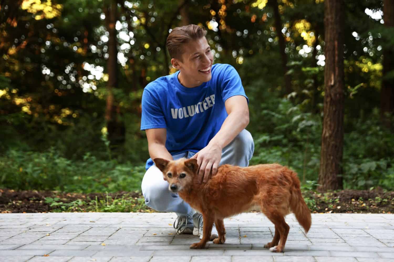 Volunteer with cute stray dog outdoors. Animal rescue