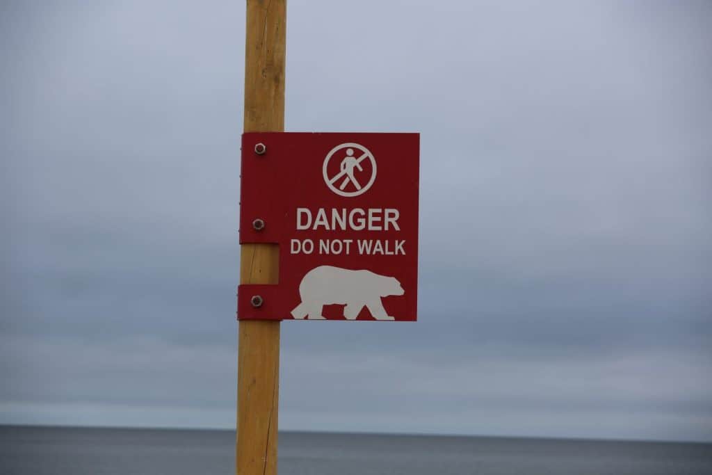 Danger Do Not Walk Sign, Polar Bear Crossing, Caution Safety Warning