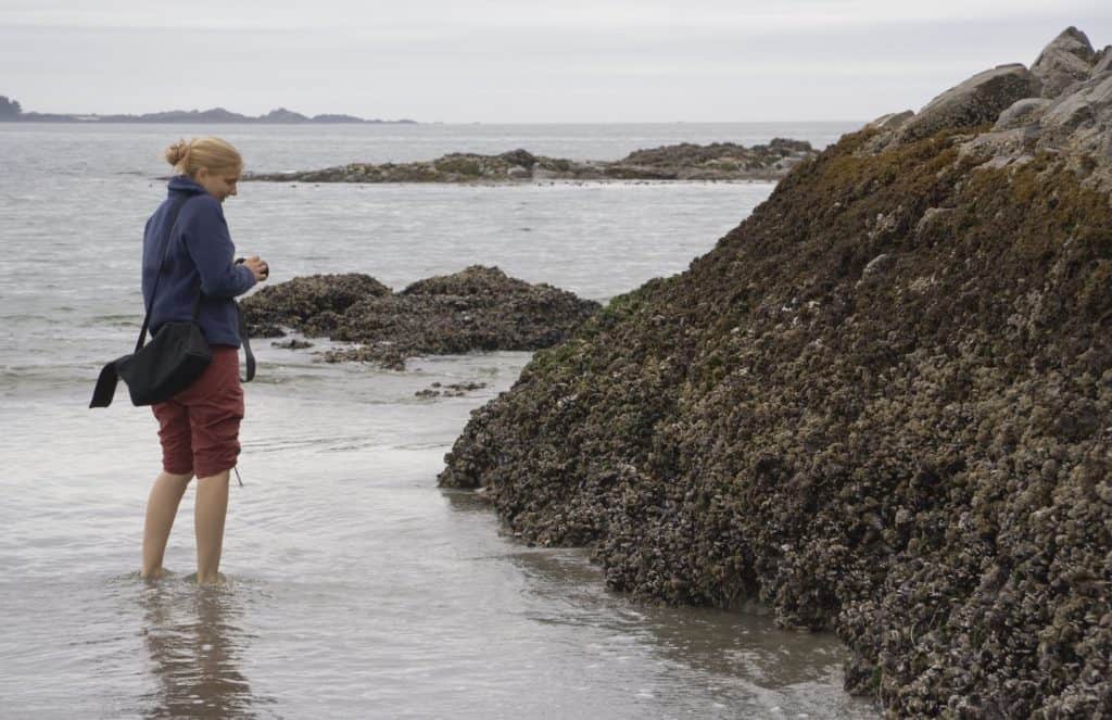 Female Scientist studying intertidal Rocks on the Pacific Coast