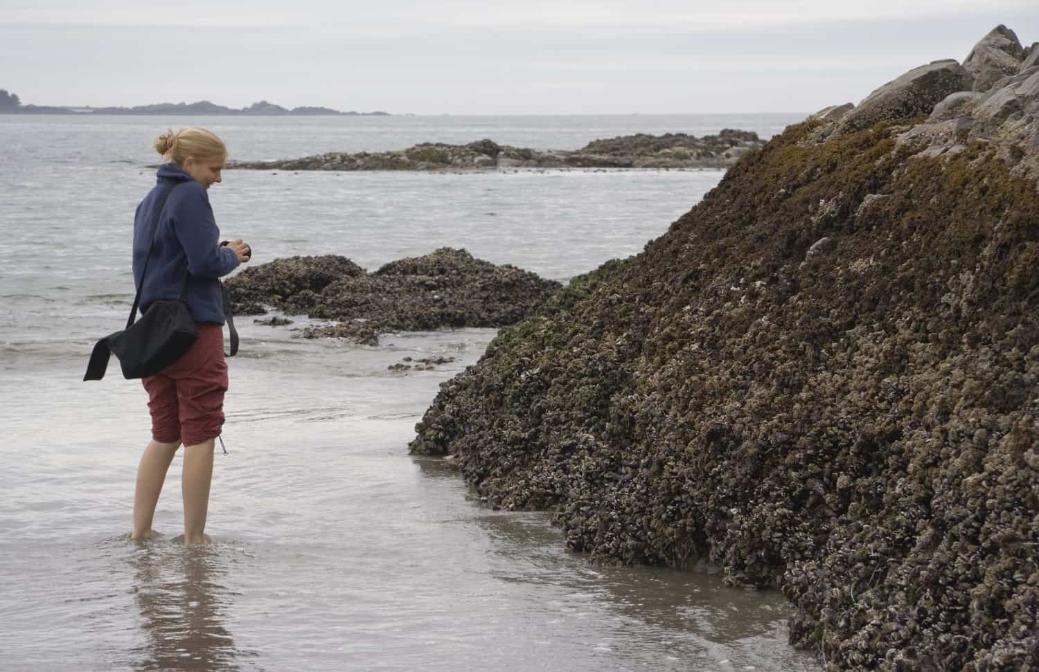 Female Scientist studying intertidal Rocks on the Pacific Coast