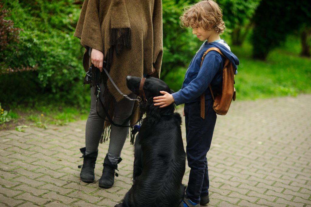 The little schoolboy stopped to stroke the big black retriever. Children love dogs.