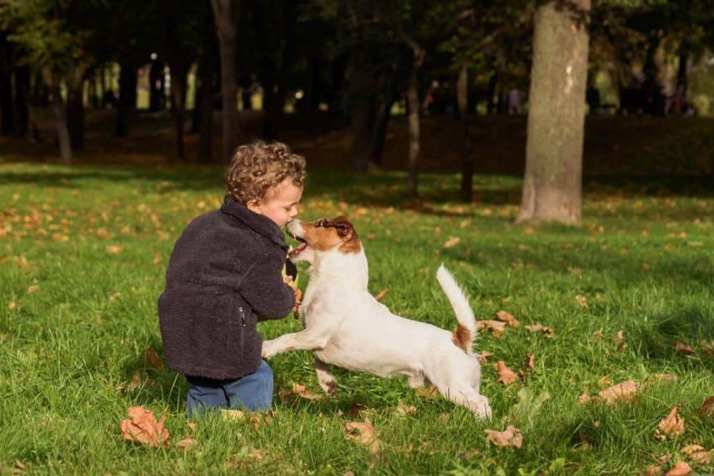 Family fun at fall (autumn) public park with children and pet dog