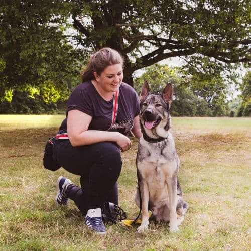 *** Use only with articles about Ali Smith, dog trainer and behavior consultant at Rebarkable