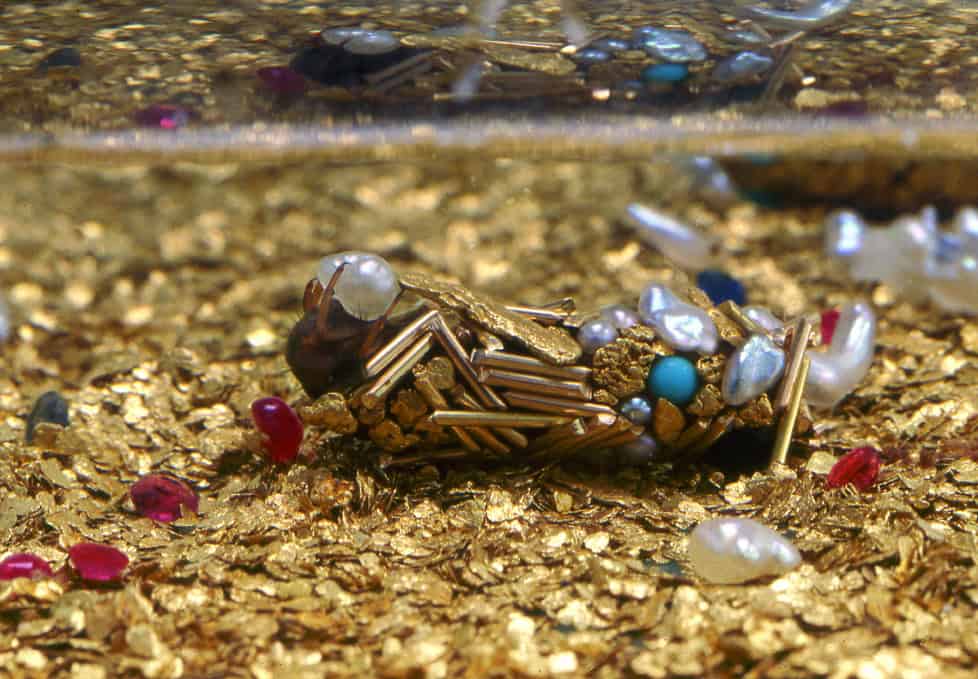"Trichoptera" series by artist Hubert Duprat