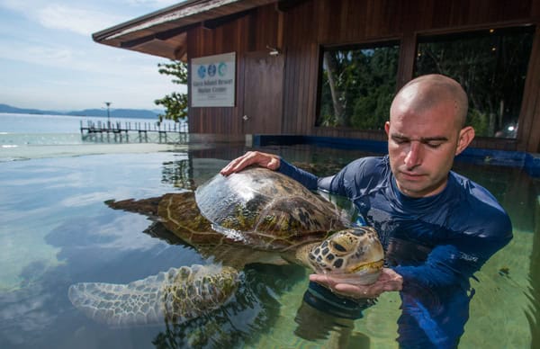 *** use only with articles about Scott Mayback, marine biologist