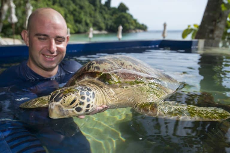 *** use only with articles about Scott Mayback, marine biologist.