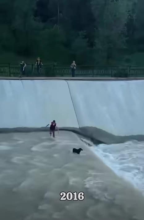 Screenshot of 2016 rescue in Kazakhstan