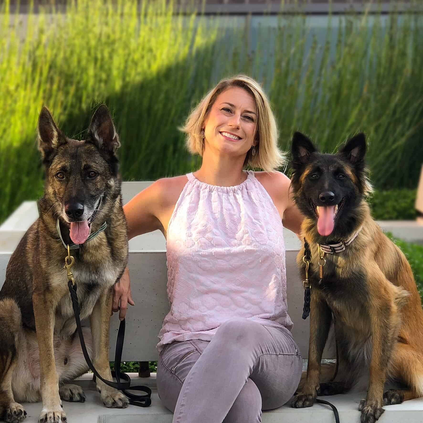 *** Use only with articles about Elisha Stynchula, certified professional dog trainer