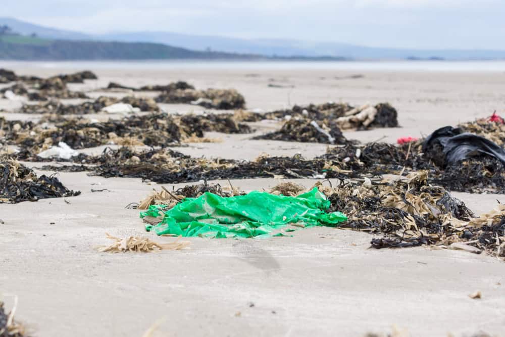 Green plastic sheet washed up on a beach in the UK surrounded by seaweed an example of the many pieces of garbage in the sea around the world
