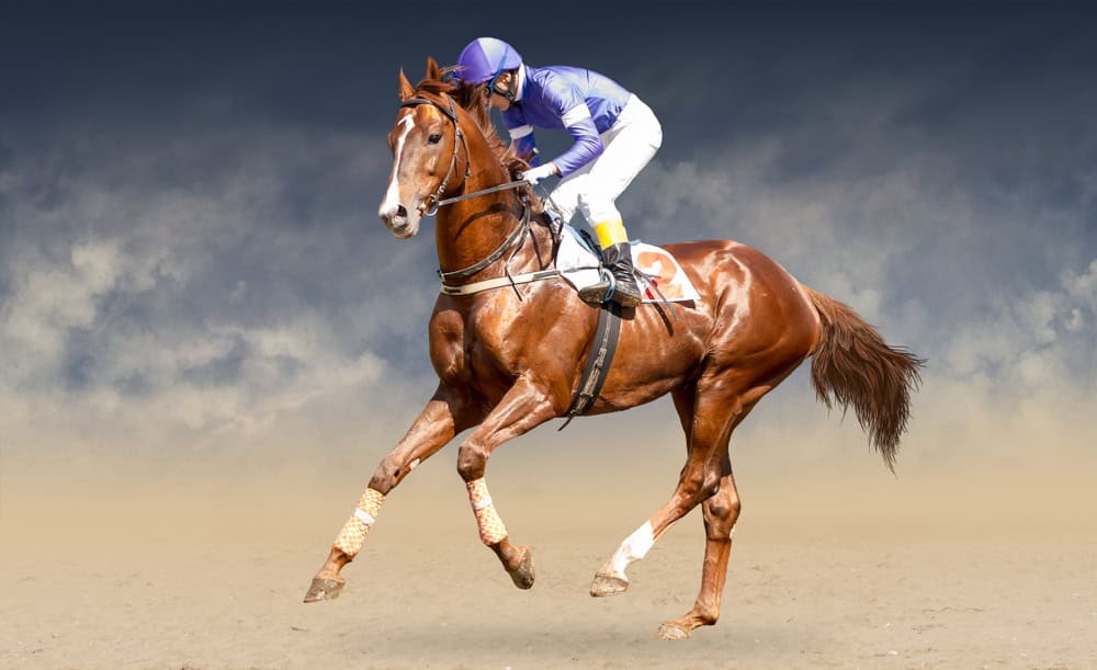 Jokey on a thoroughbred horse runs isolated on black background