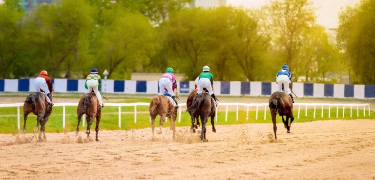 Galloping race horses in racing competition. Traditional European sport. Hippodrome. Derby