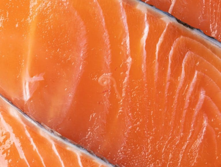 Anisakis parasite in raw salmon