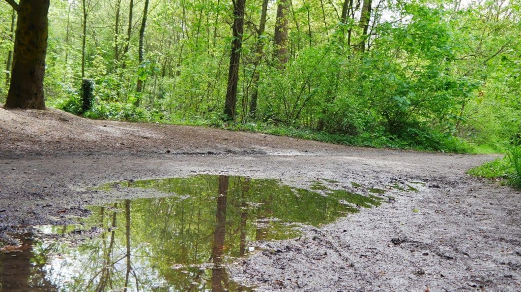 Big puddle of water after passing rain, in a green and humid forest area, under a cloudy and rainy sky, gloomy weather and watery beauty with the land, image reflecting on the water and leaves wood