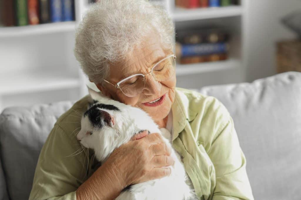 Senior woman with cute cat resting at home
