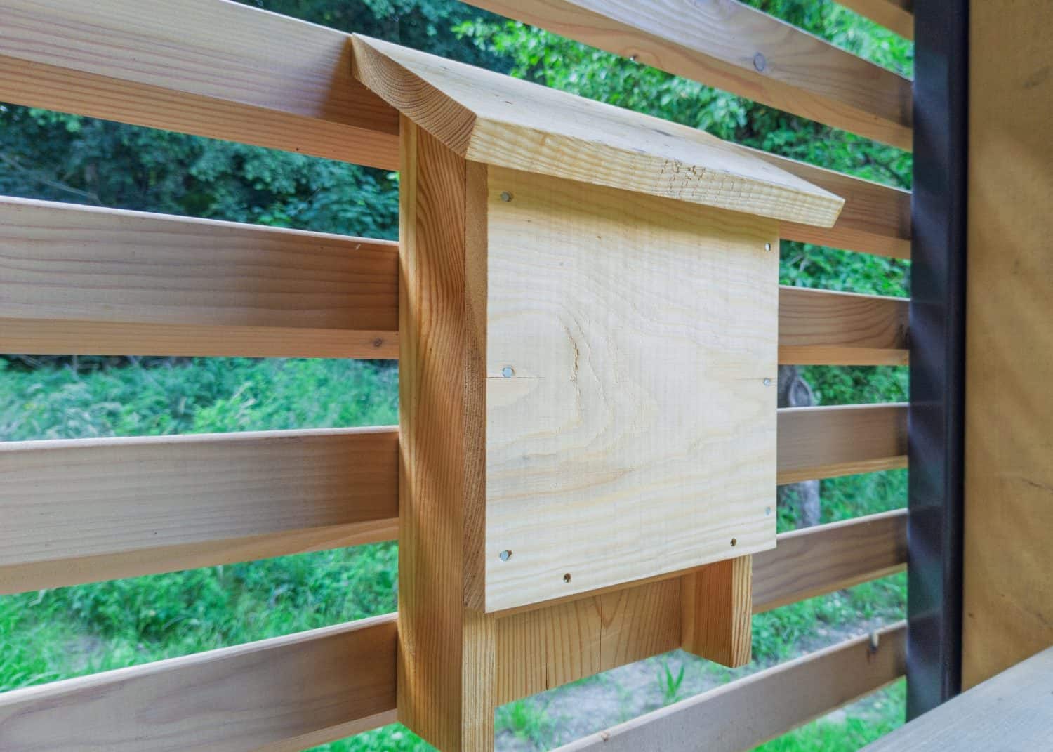 Wooden bat box on outdoor wall
