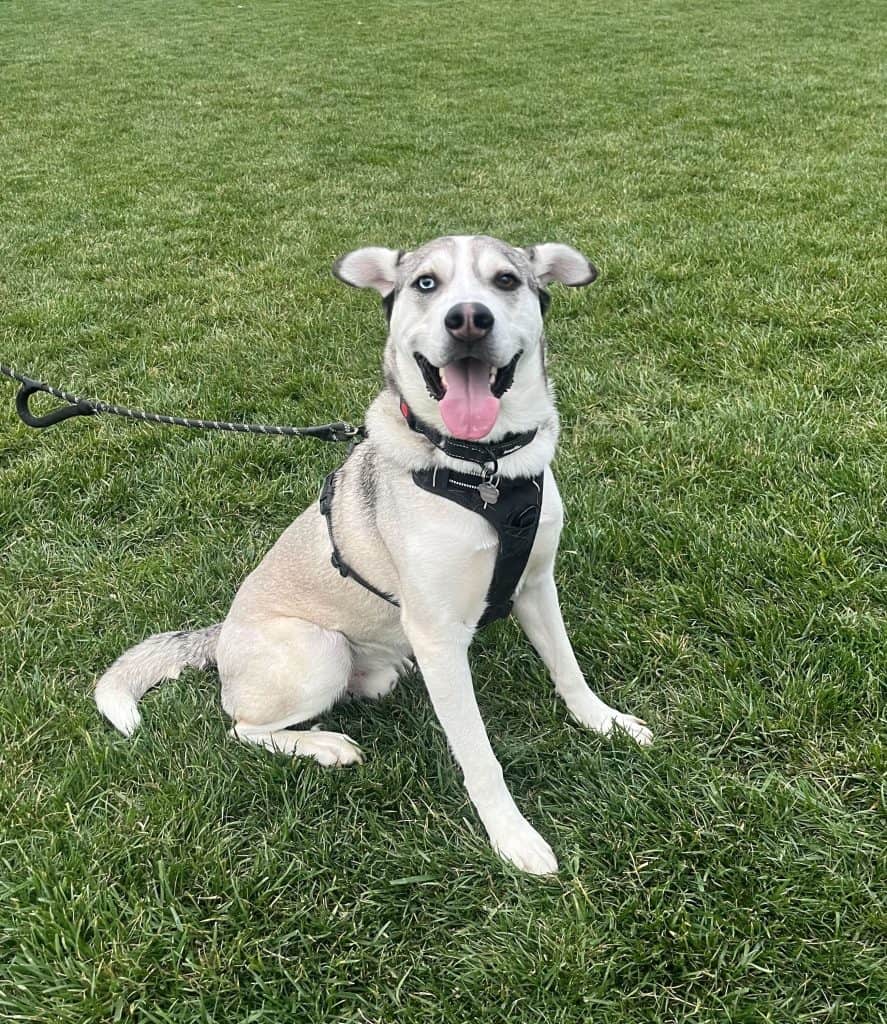 Bruce from Arctic Rescue