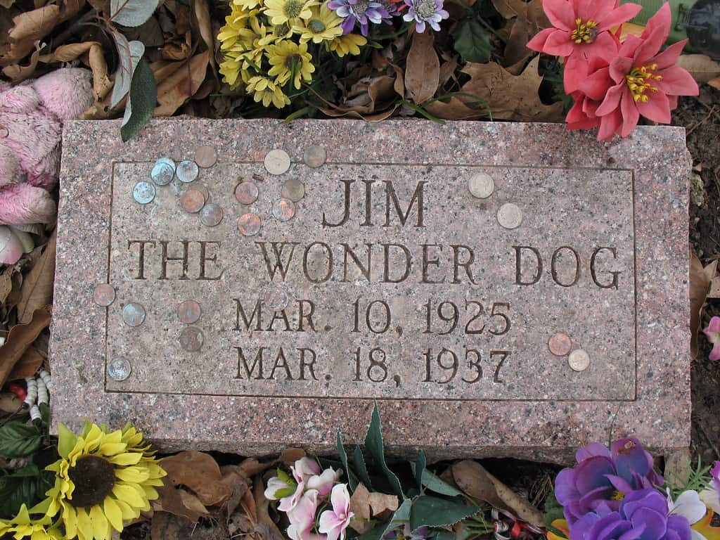 Jim's Grave