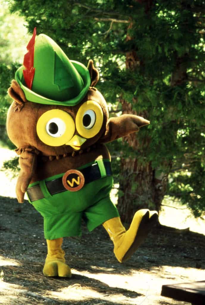 Woodsy Owl Costume