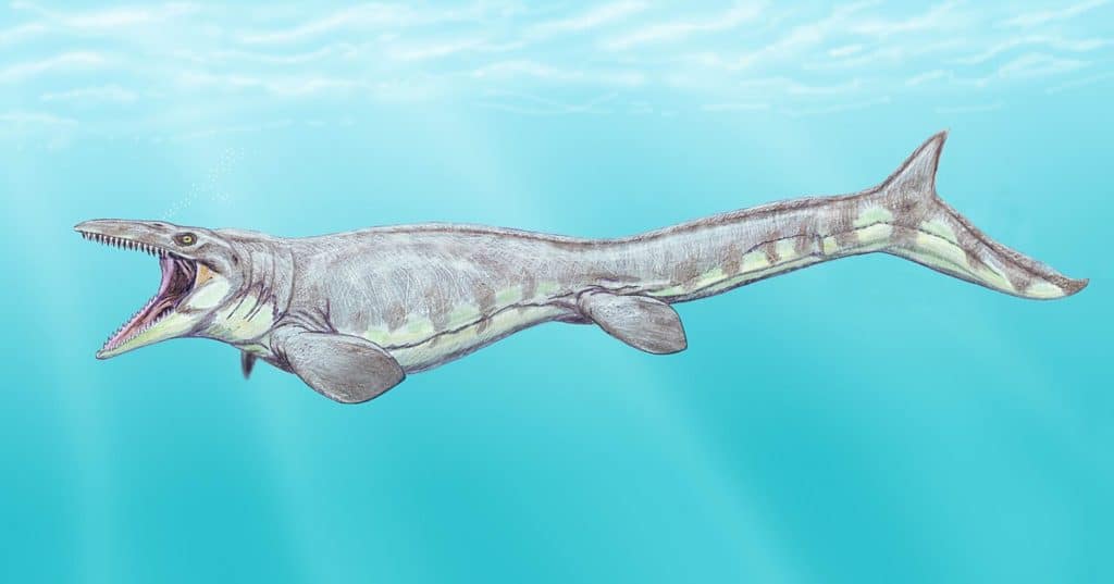Tylosaurus rendering