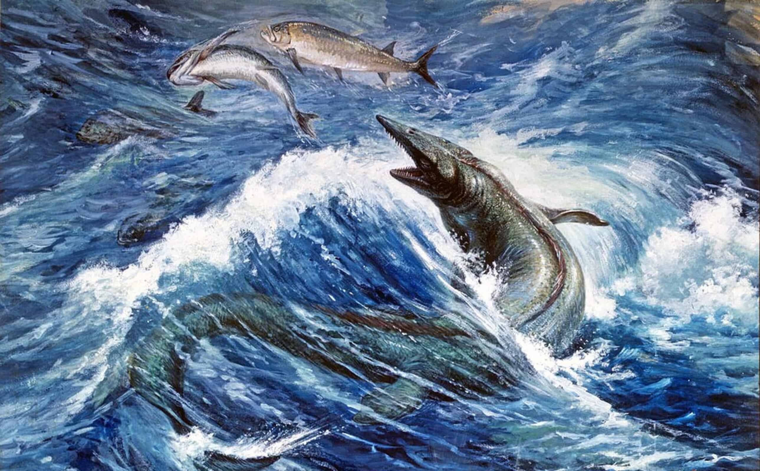 しらす様 Aquatic Division the Commoner The Sea Tyrant That Hid in U.S. Museums for 150 Years - A-Z Animals