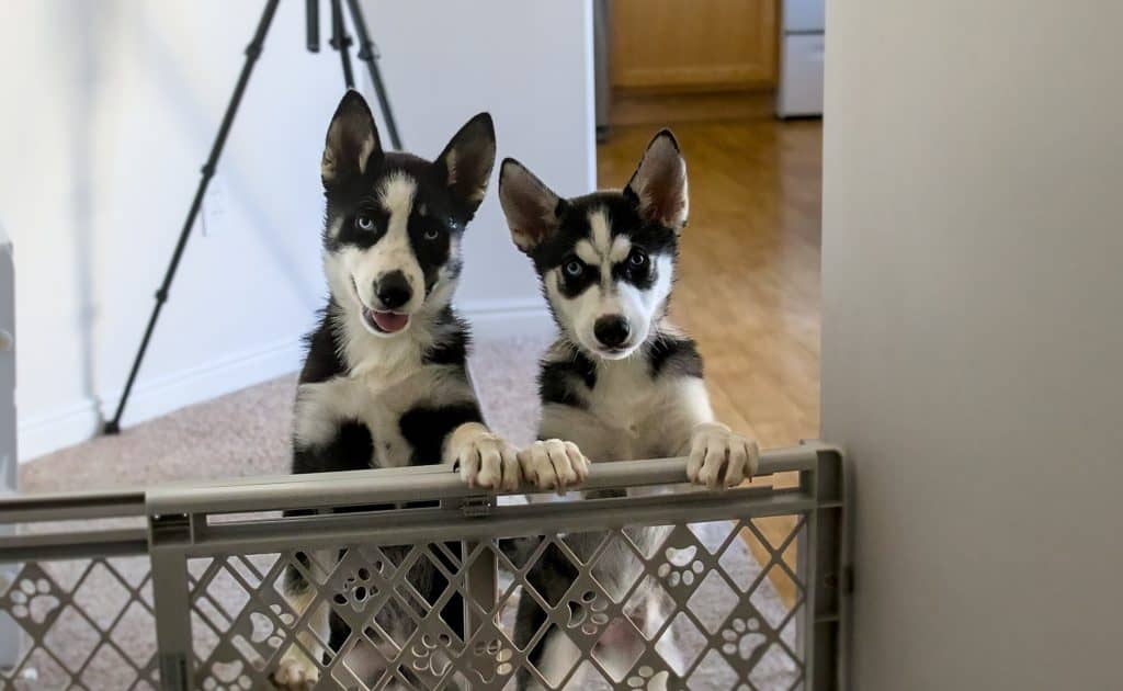 Lucy and Ethel