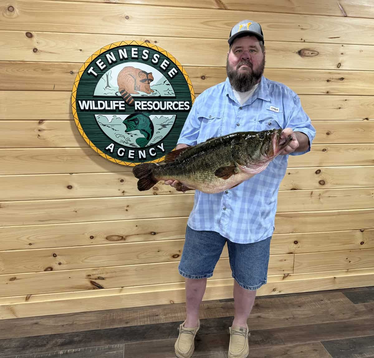 Largemouth Bass