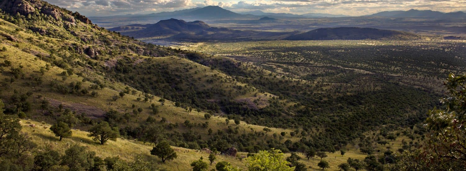 San Rafael River Valley Southern Arizona View to the south overlooking the Mexican Boarder