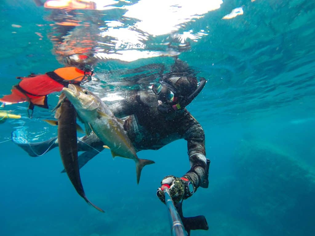 spearfisher swims on the surface of the sea after diving with fish