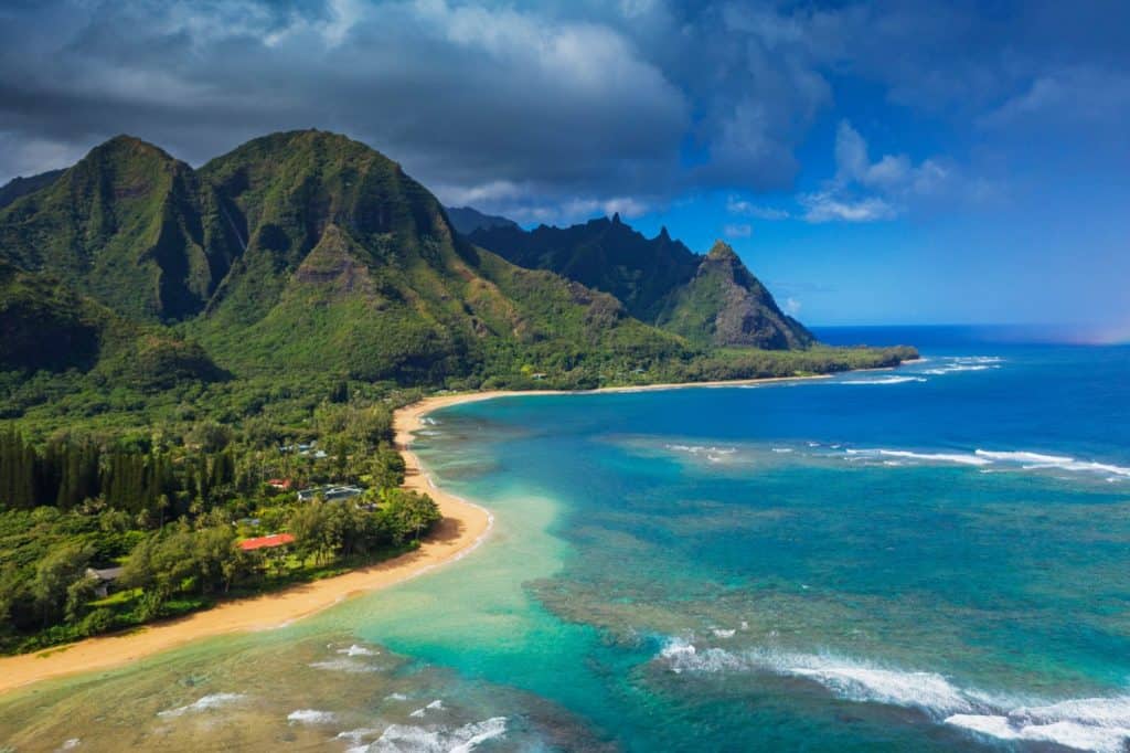 Hawaii Rediscovers Its Rarest Moth on an Ordinary Sidewalk - A-Z Animals