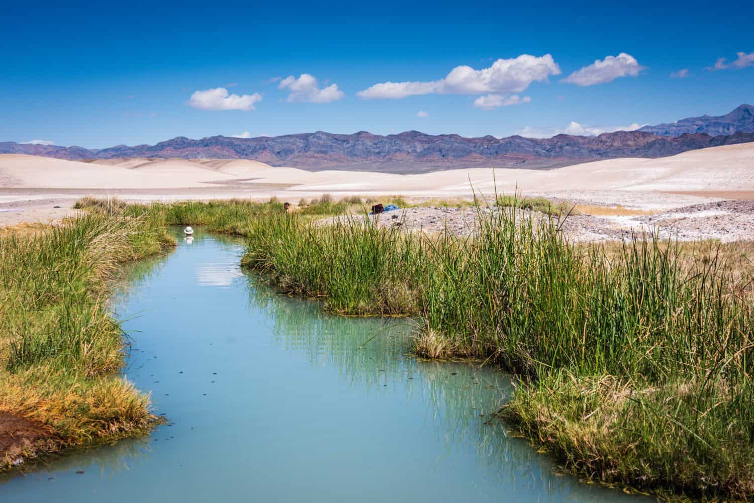 Tecopa, California USA - March 27, 2017: Tecopa Mud Hot Springs is an oasis in the desert near Death Valley National Park.