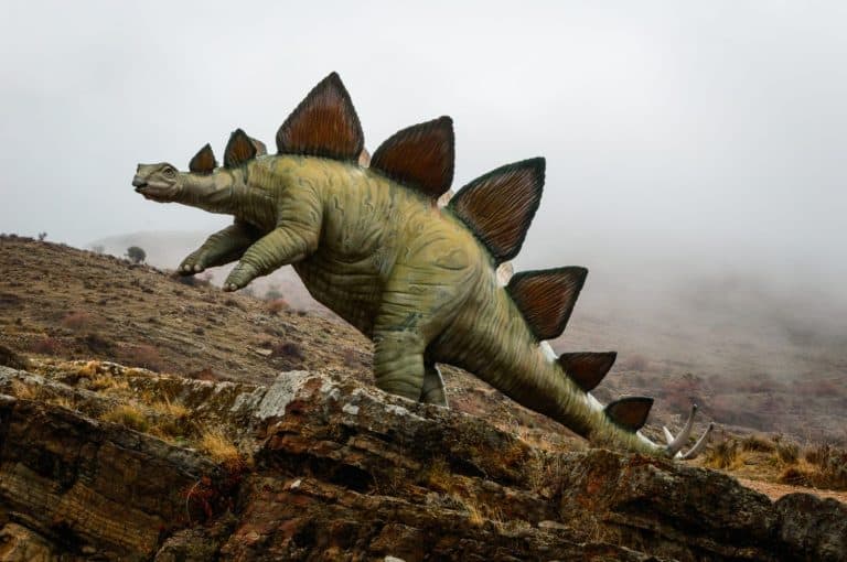 Life-size reproduction of a stegosaurus dinosaur walking in the fog.