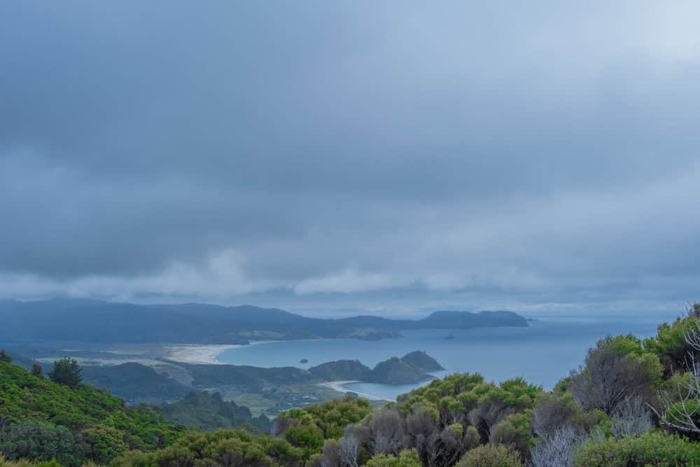 Great Barrier Island in New Zealand