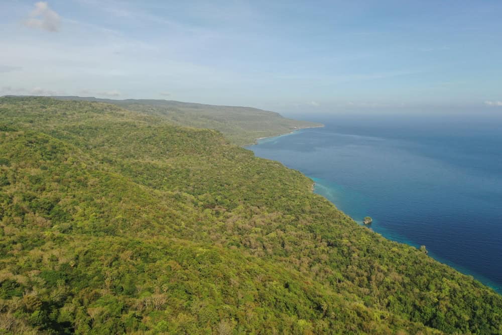 View of Dense Forest in Nino Konis Santana National Park of Timor-Leste