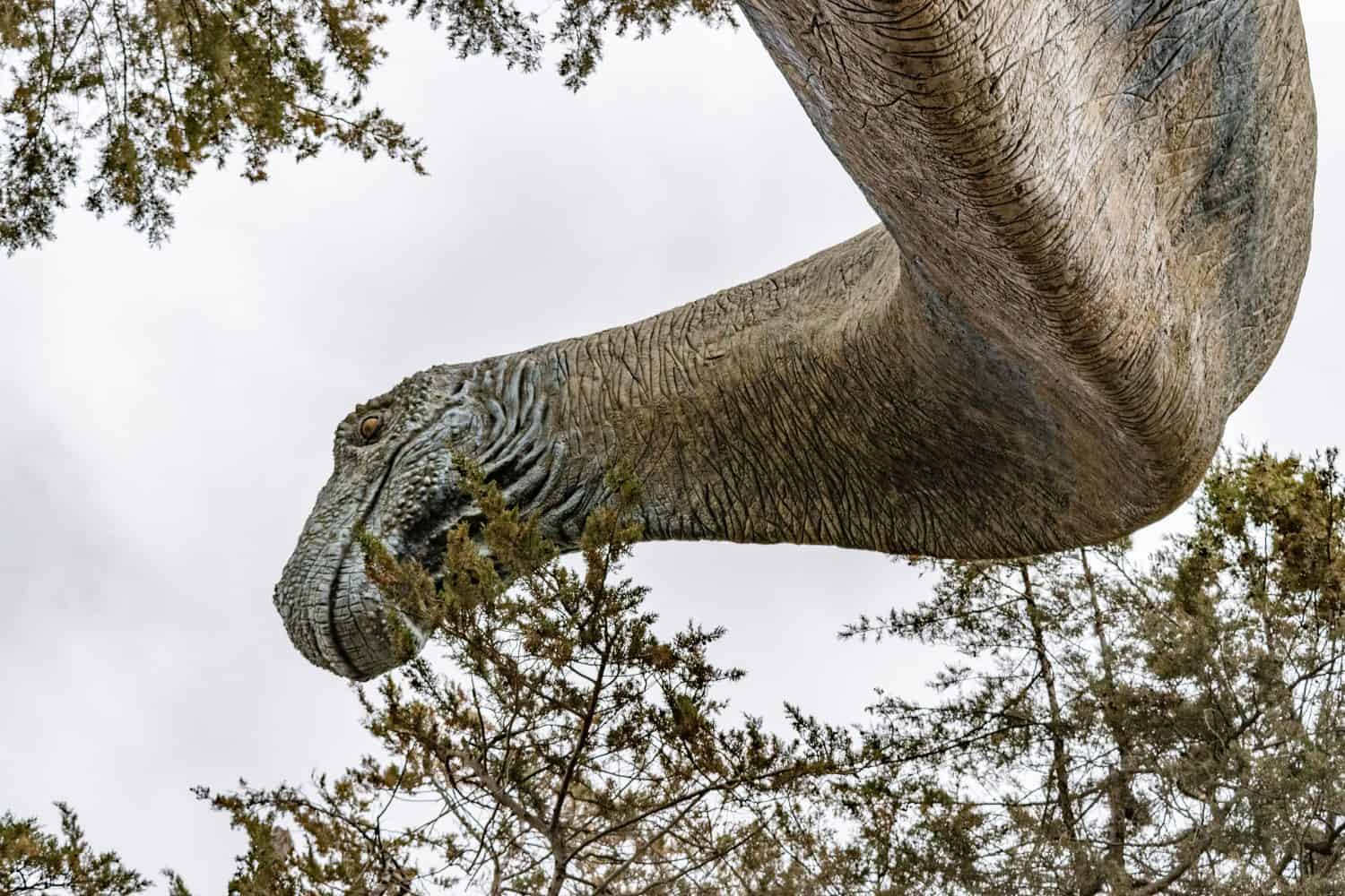 Why This 89-Foot Giant May Be Southeast Asia's Last Titan