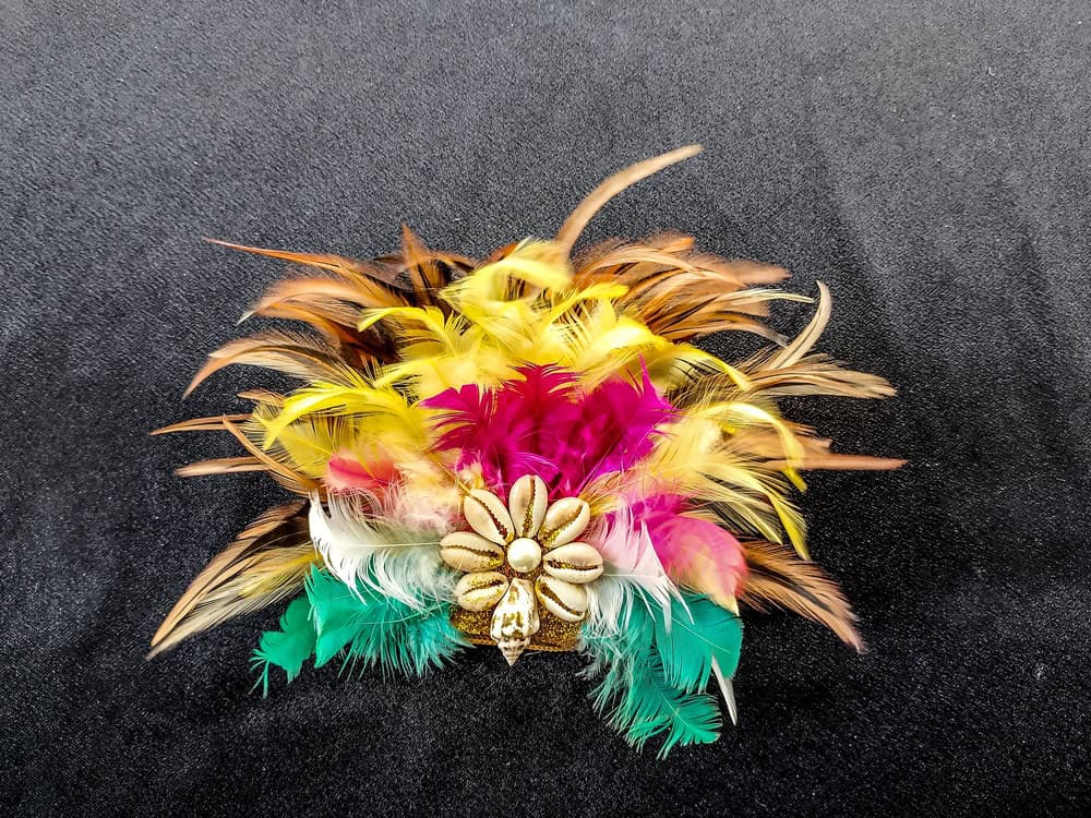 Authentic Biak Papua Feather Brooch with Cowrie Shell Ornament on Black Background