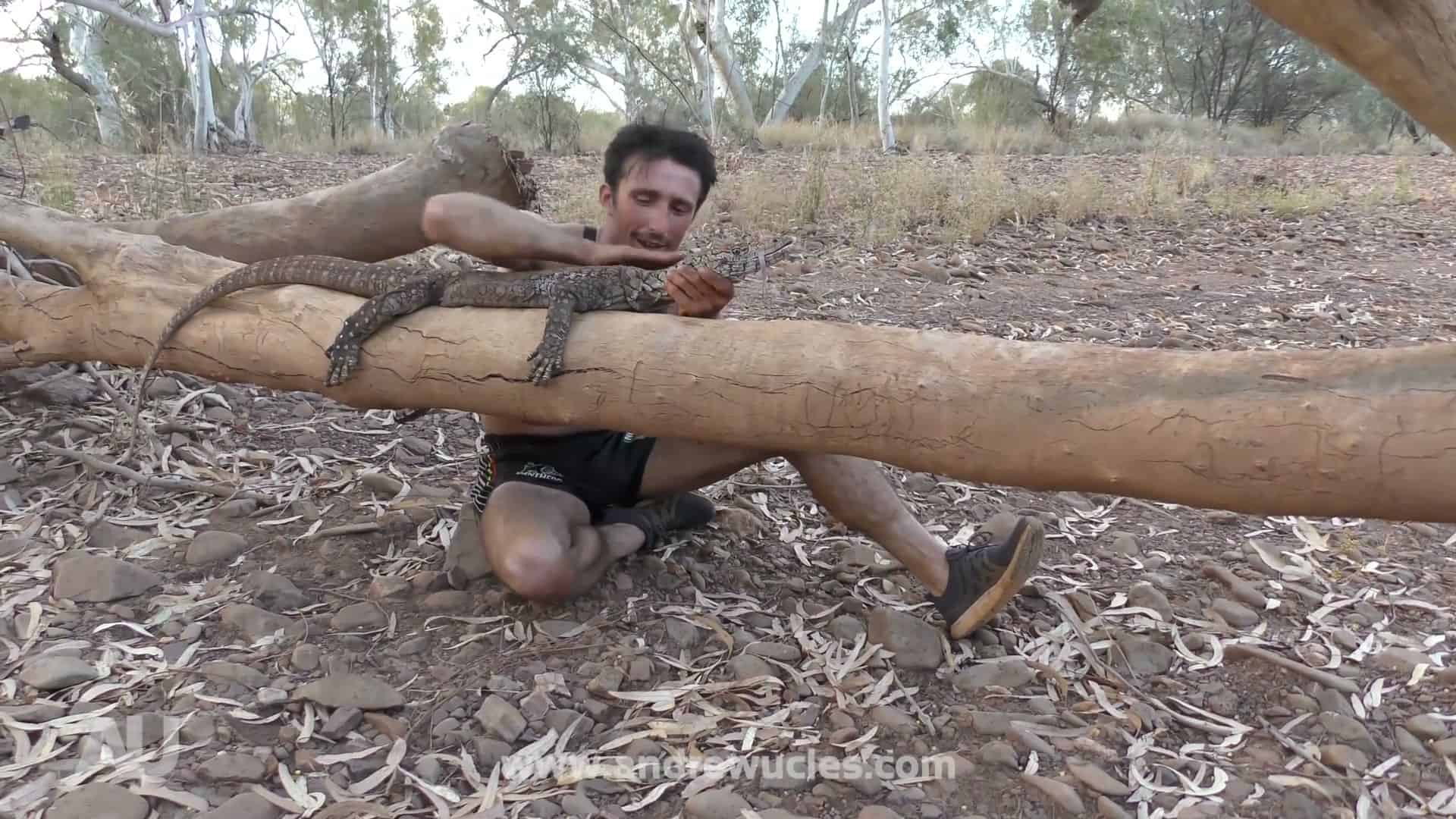 Intense close encounter with monitor lizard biting