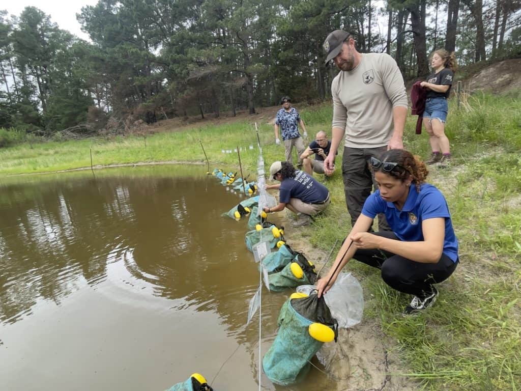 six people standing or crouching along the edge of the pond lowering green sacs into the pond