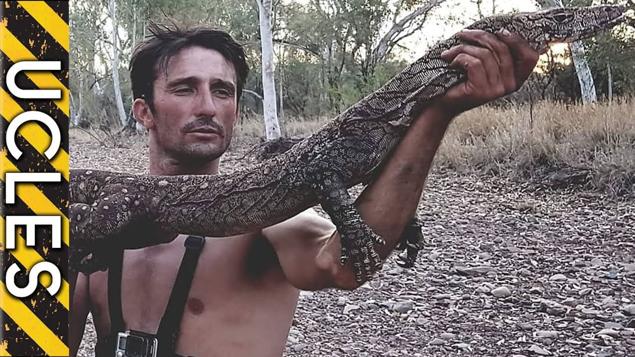 Catching Australia's Largest Lizard (PERENTIE)